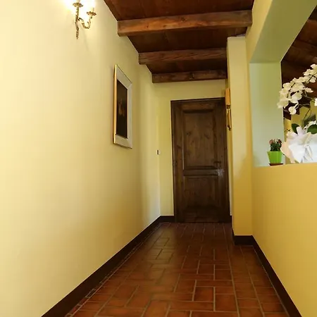 Il Grande Tiglio Vigliano d'Asti
